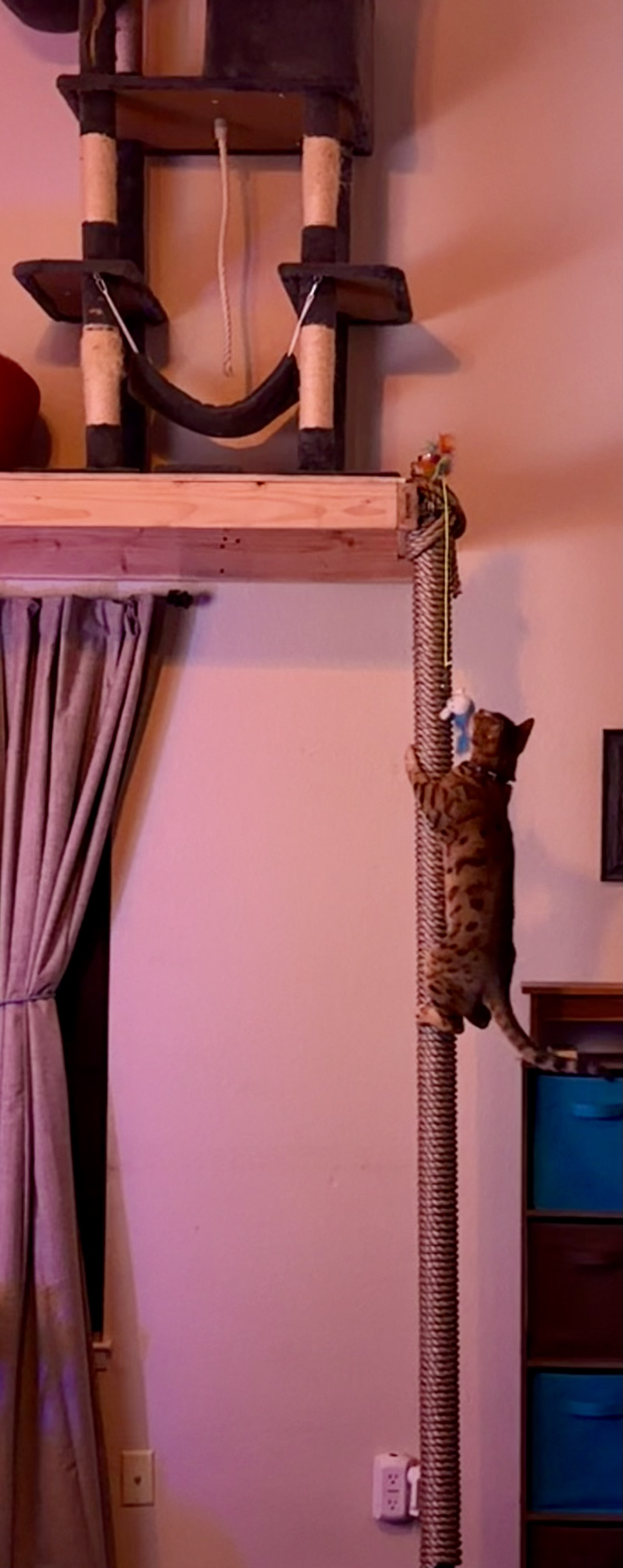 Custom CNC milled cat tree with rope-wrapped modified stripper pole - Pussy Corral